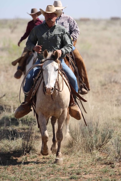 wicker ranch