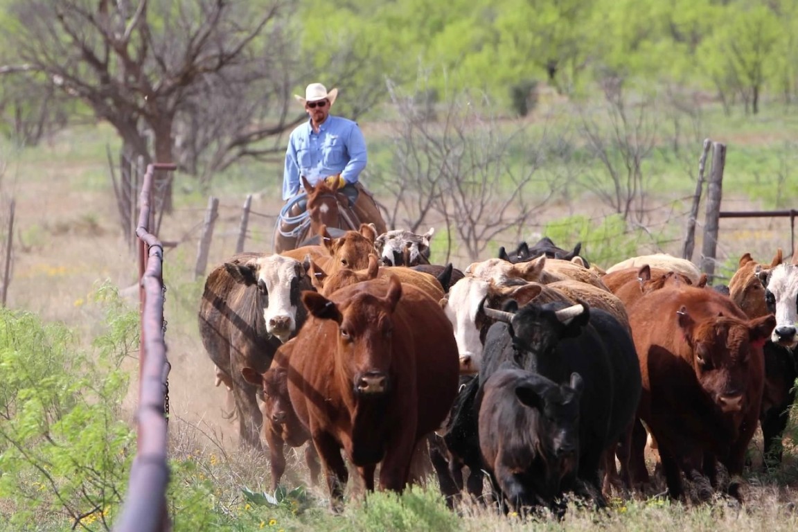 wicker ranch