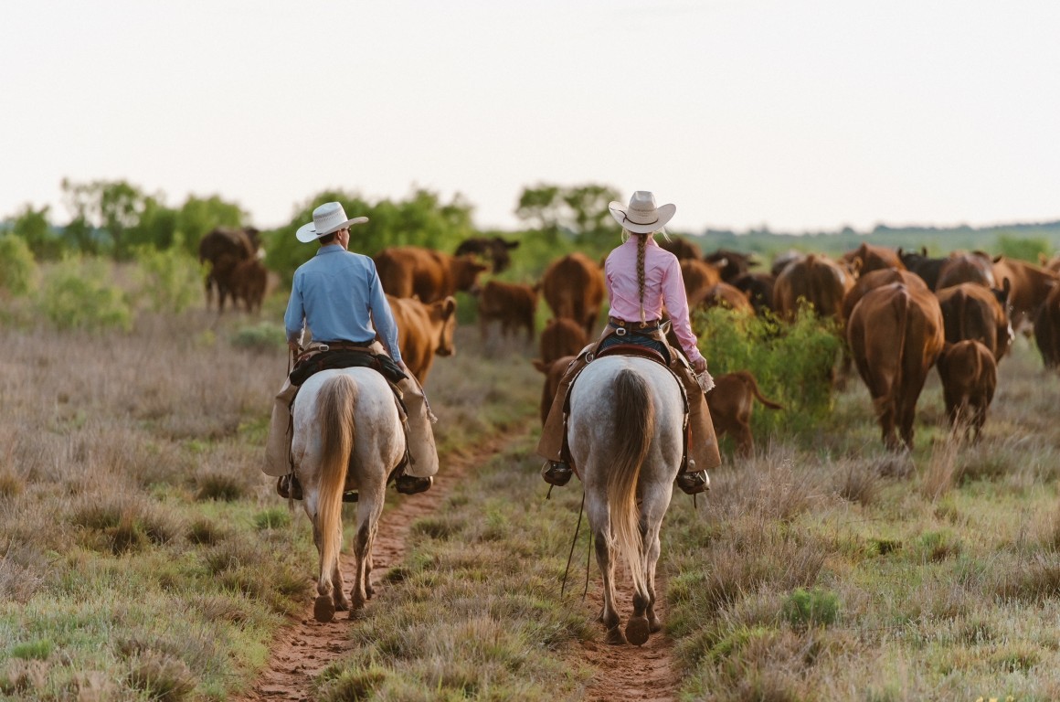 wicker ranch