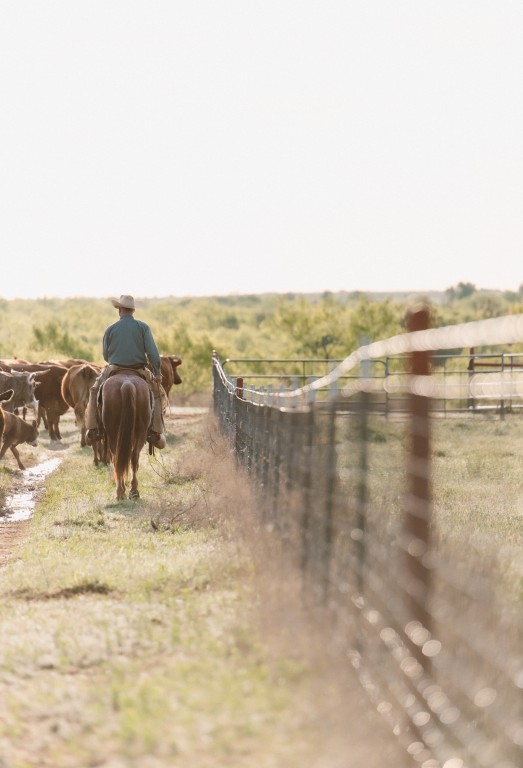 wicker ranch
