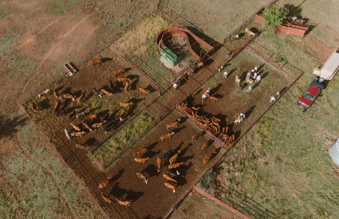 wicker ranch