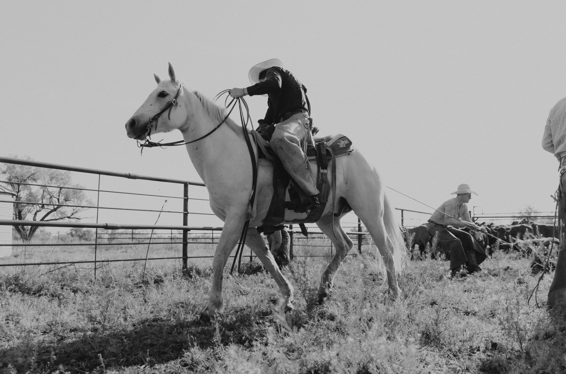 wicker ranch