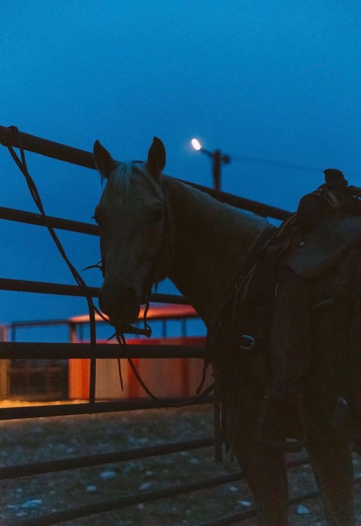 wicker ranch