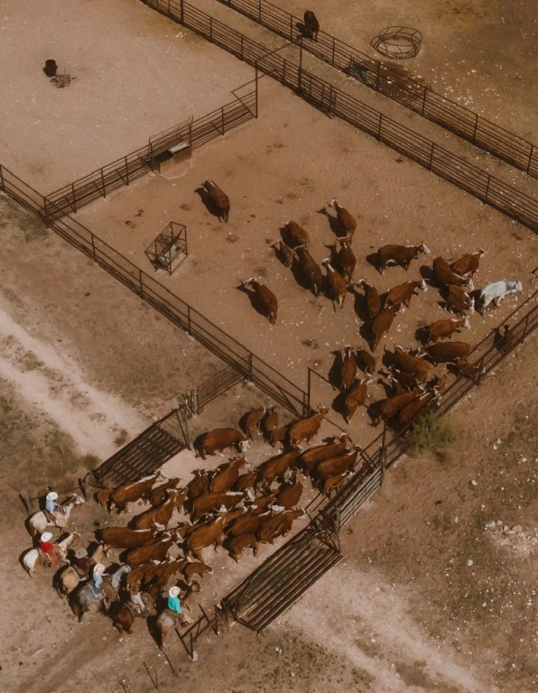 wicker ranch
