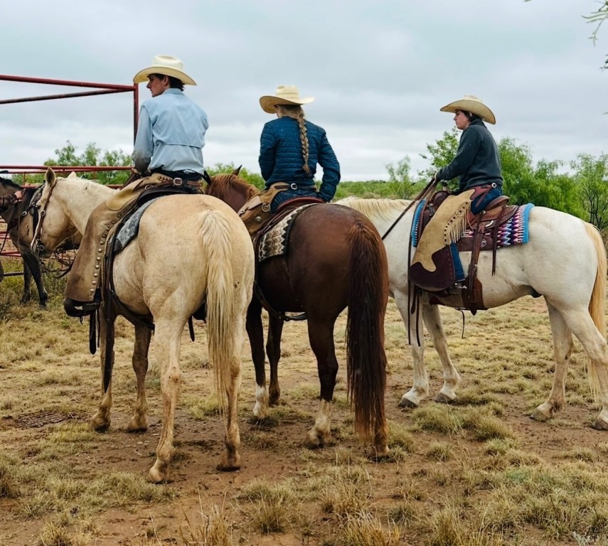 wicker ranch