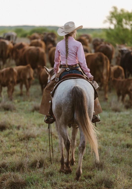 wicker ranch