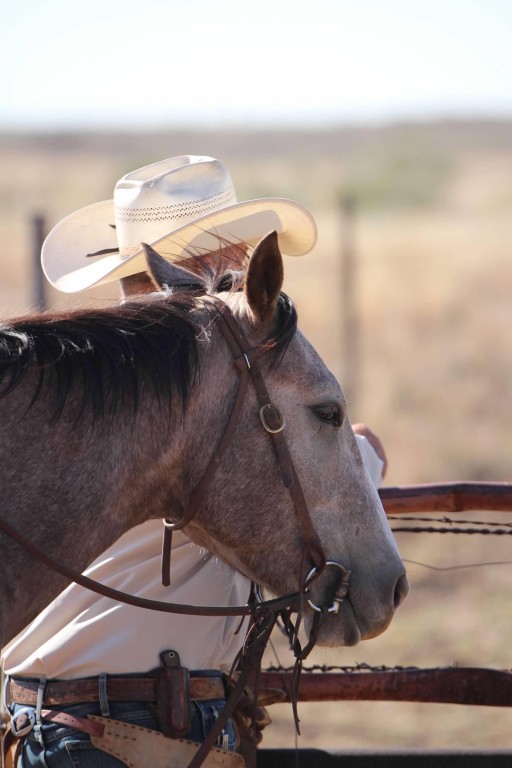 wicker ranch